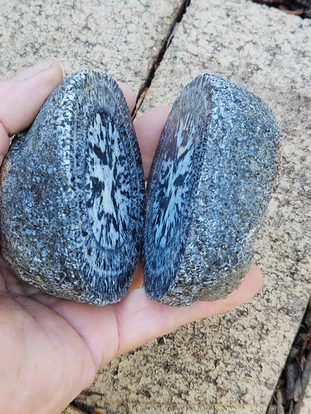 Pair of polished Orbicular Granite. OG191