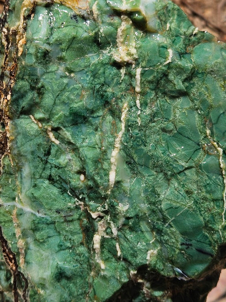 Green Opal  rough.  GOR 133