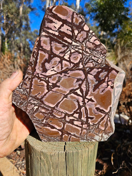 Polished Outback Jasper  OJ177