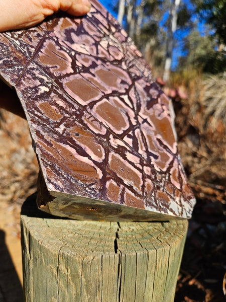 Polished Outback Jasper  OJ177