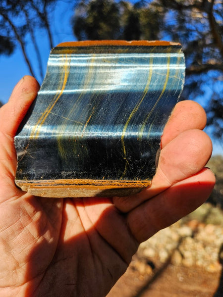 Polished African Tiger Eye slab TEA102