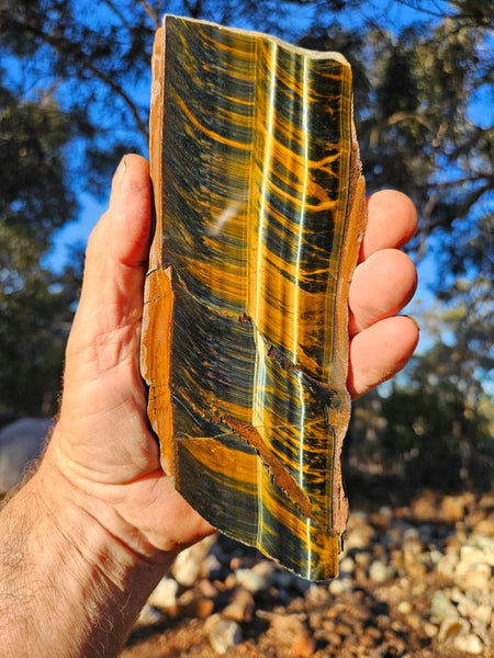 Polished African Tiger Eye slab TEA101