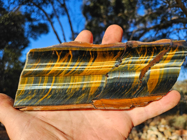 Polished African Tiger Eye slab TEA101