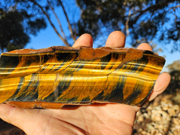 Polished African Tiger Eye slab TEA106