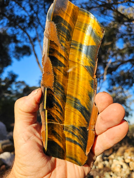 Polished African Tiger Eye slab TEA106