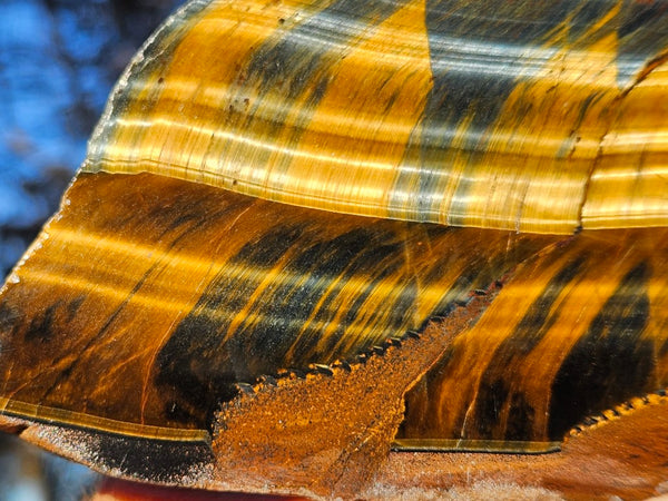 Polished African Tiger Eye slab TEA106