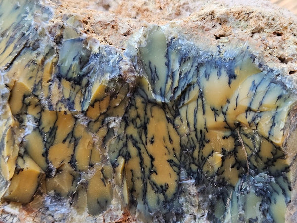 Dendritic Opal  rough.  DOR243