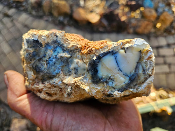 Dendritic Opal  rough.  DOR244