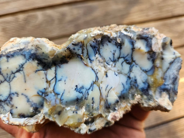 Dendritic Opal  rough.  DOR244