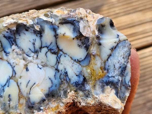 Dendritic Opal  rough.  DOR244