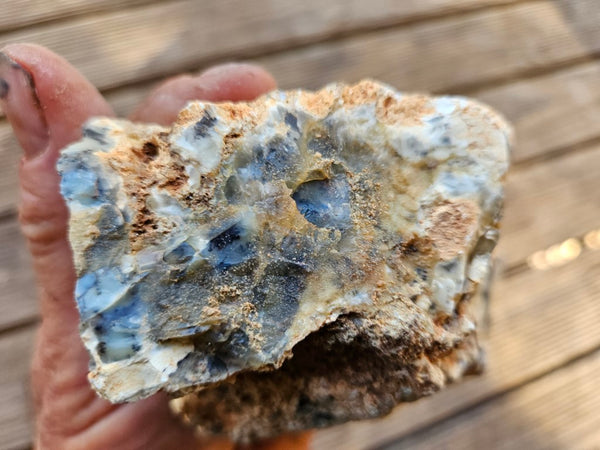 Dendritic Opal  rough.  DOR244