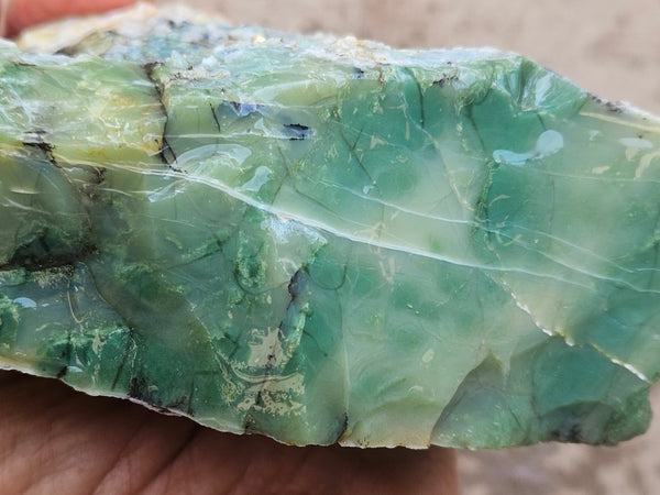 Green Opal  rough.  GOR 136