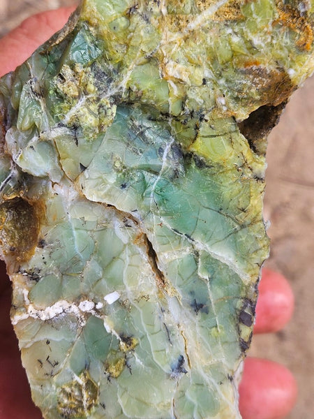 Green Opal  rough.  GOR 135