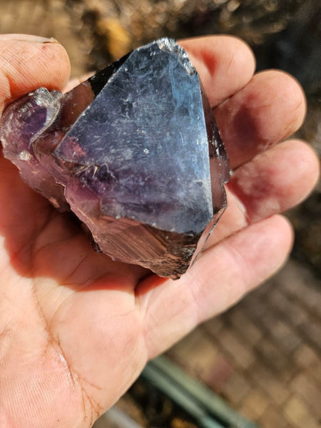 Wyloo Amethyst crystal . AM124