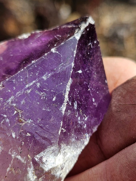 Wyloo Amethyst crystal . AM126