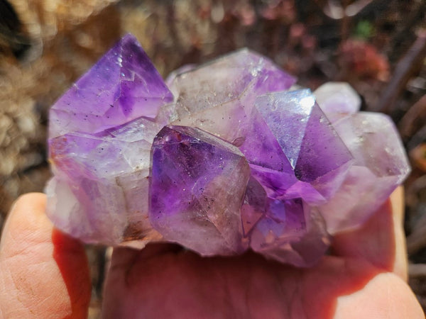 Wyloo Amethyst crystal . AM129