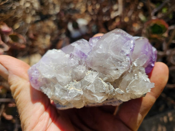 Wyloo Amethyst crystal . AM129