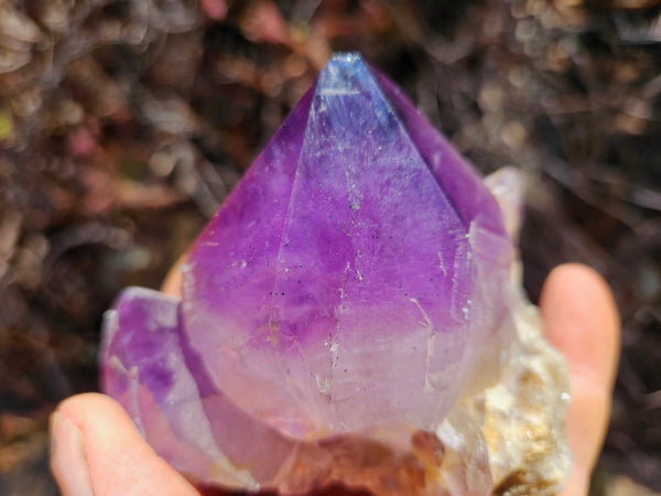 Wyloo Amethyst crystal . AM128
