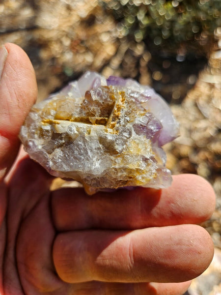 Wyloo Amethyst crystal . AM130