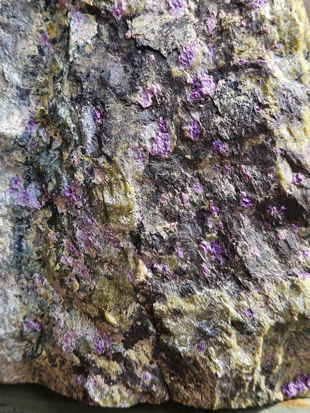 Polished Stichtite in Serpentine (Atlantisite) STI142