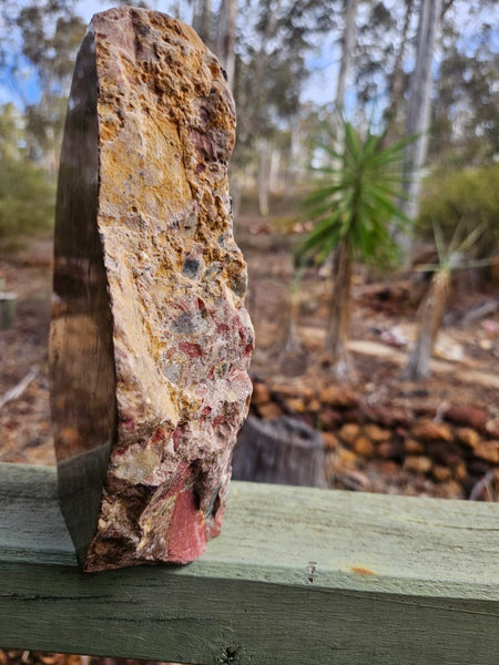 Polished Chert Breccia  CB113