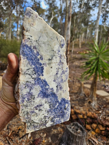 Blue Lepidolite display specimen BL249