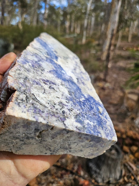 Blue Lepidolite display specimen BL249