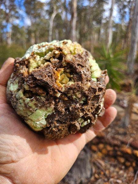 Polished Lime Magnesite specimen. MAP203