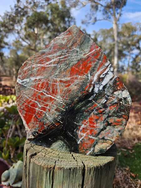 Starry Jasper polished display specimen SJ144