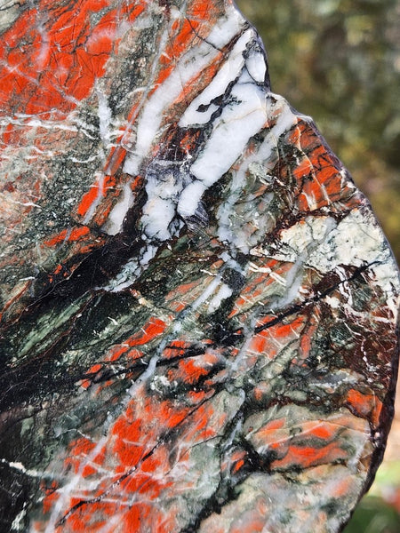 Starry Jasper polished display specimen SJ144