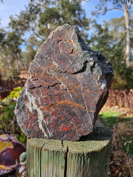 Starry Jasper polished display specimen SJ144