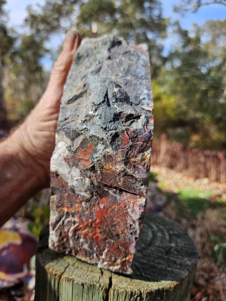 Starry Jasper polished display specimen SJ144