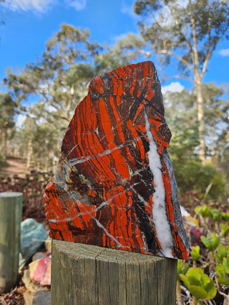 Starry Jasper polished display specimen SJ145