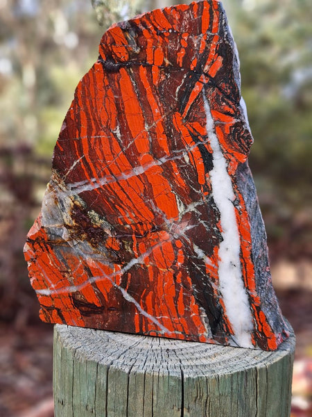 Starry Jasper polished display specimen SJ145