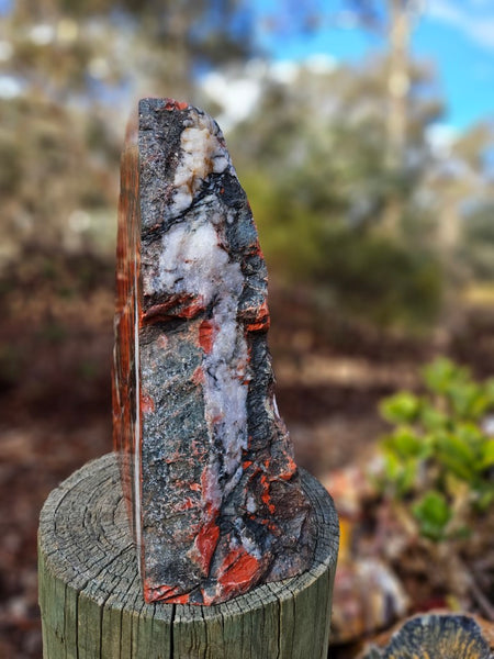 Starry Jasper polished display specimen SJ145