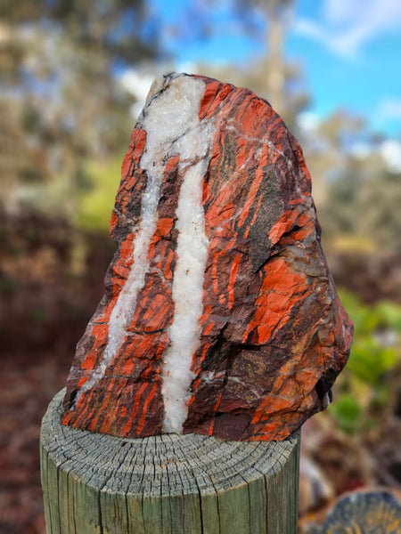 Starry Jasper polished display specimen SJ145