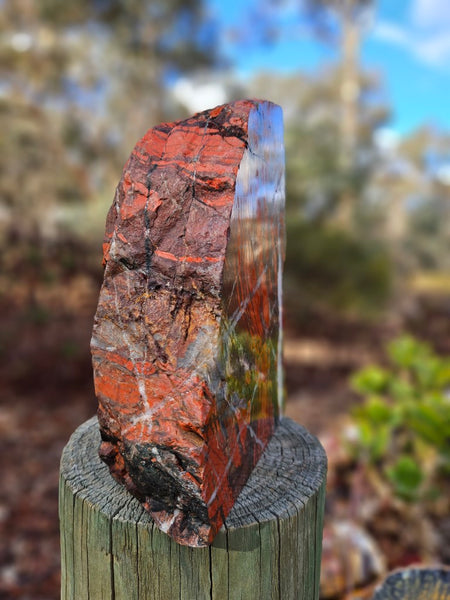 Starry Jasper polished display specimen SJ145