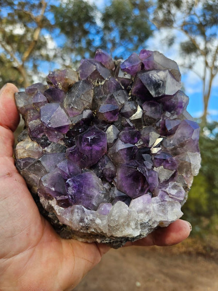 Wyloo Amethyst cluster. AM132