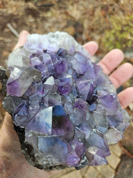 Wyloo Amethyst cluster. AM132