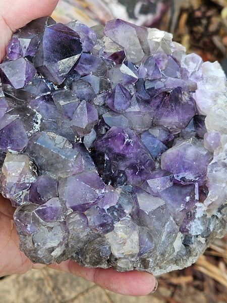 Wyloo Amethyst cluster. AM132