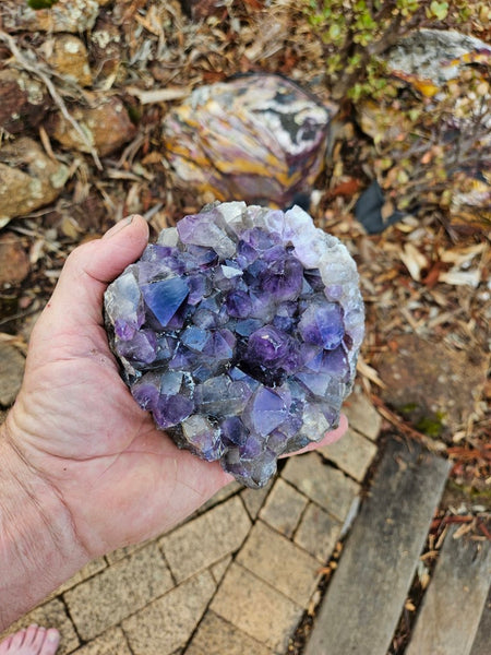 Wyloo Amethyst cluster. AM132