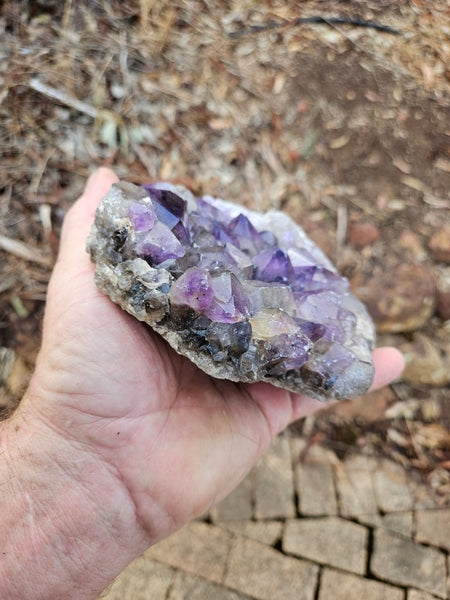 Wyloo Amethyst cluster. AM132