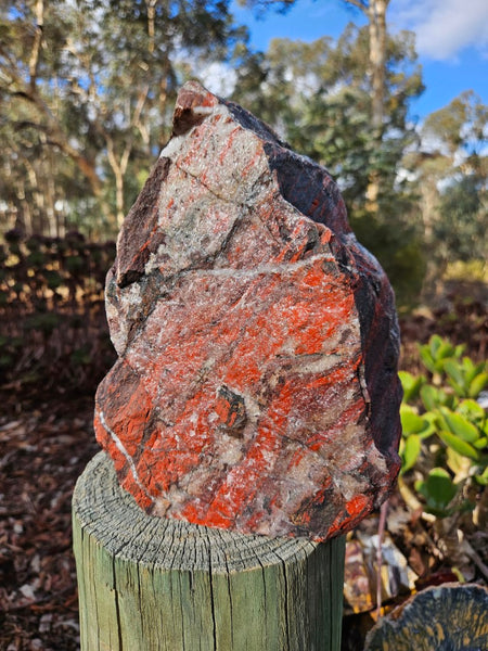 Starry Jasper polished display specimen SJ146