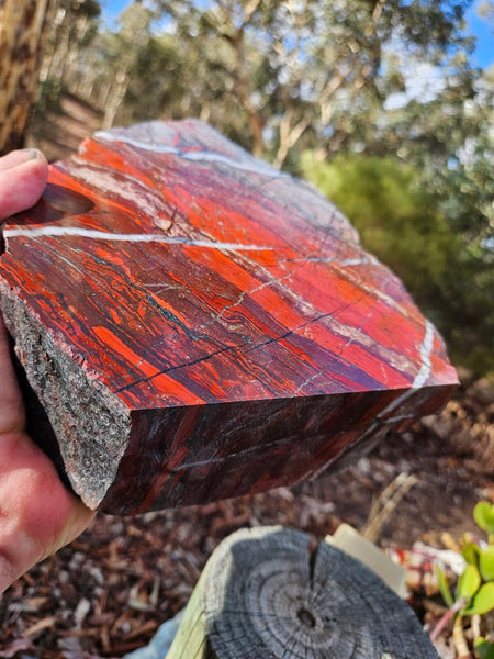 Starry Jasper polished display specimen SJ146