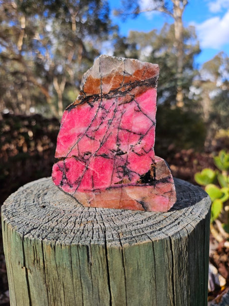 Polished Rhodonite  RH273