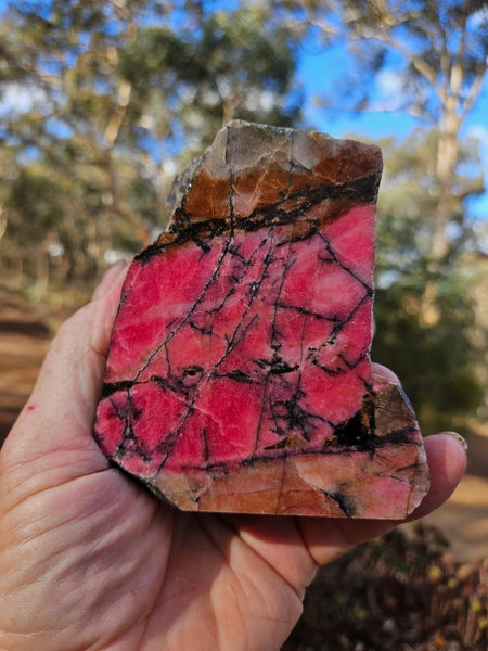 Polished Rhodonite  RH273