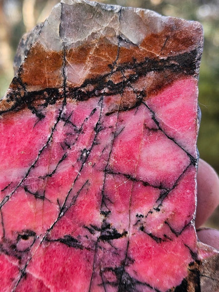 Polished Rhodonite  RH273