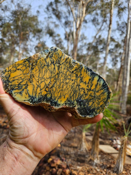 Polished Dendritic Opal DO195