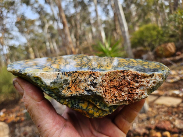 Polished Dendritic Opal DO195