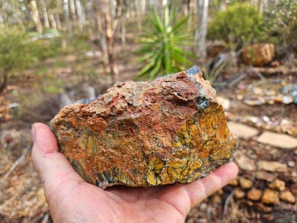 Polished Dendritic Opal DO195